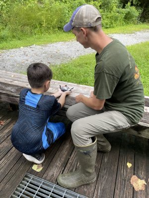 bird banding