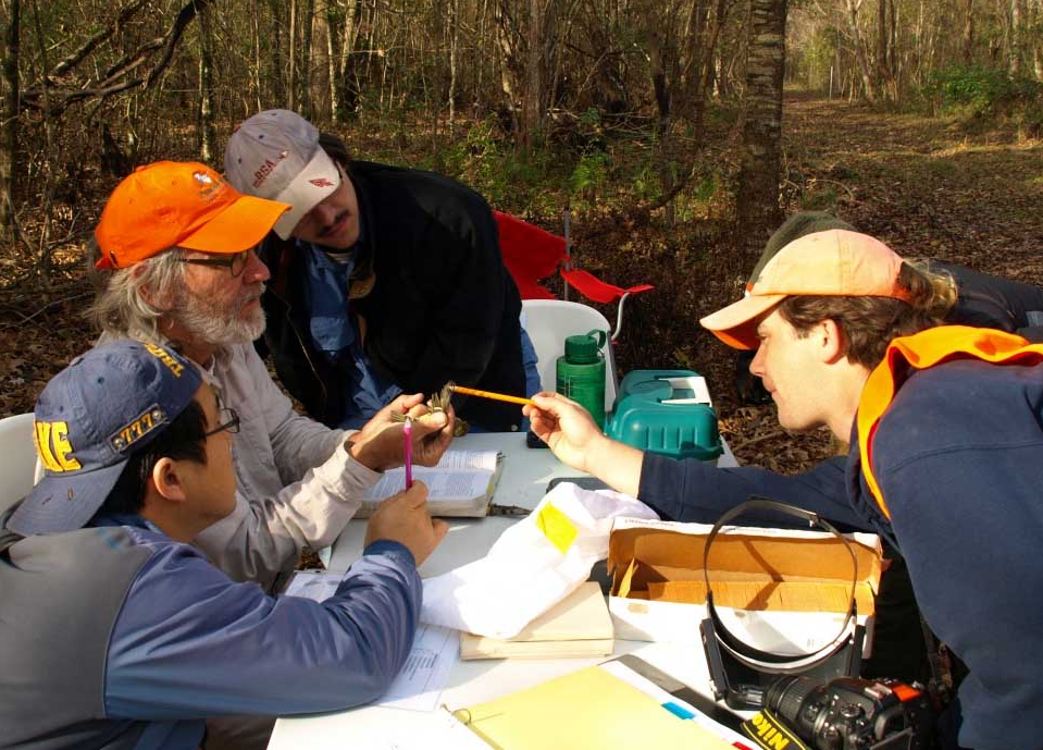 LABO Primary Banders teach volunteers the finer points of aging birds at Woodlands Conservancy. Photo by Katie Brasted.